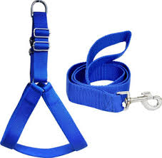 DOG BELT