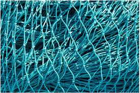 FISH NETS