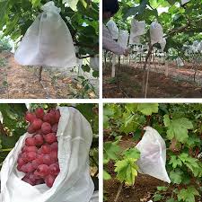 FRUIT POUCH