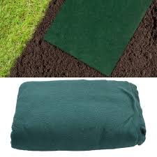 SEED BLANKET